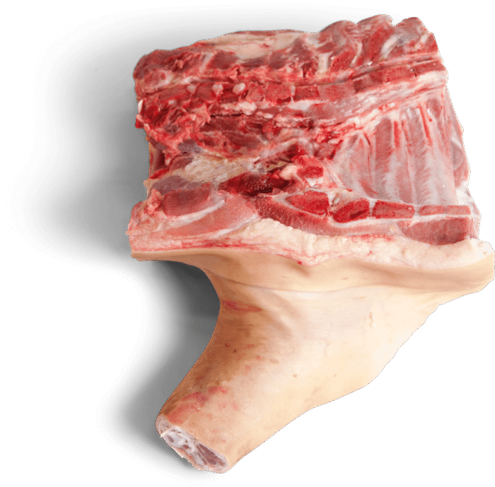 frozen pork fore end without jowl