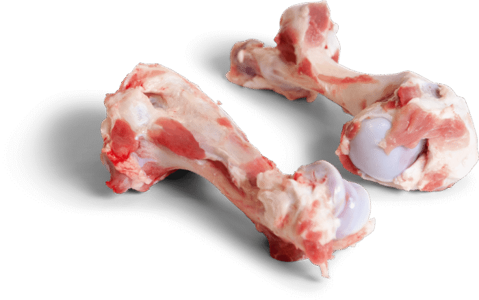 wholesale Pork Humerus Bone