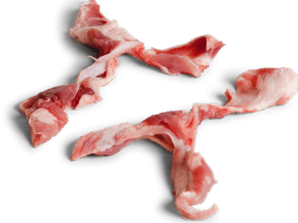 Frozen Pork Shoulder Bone