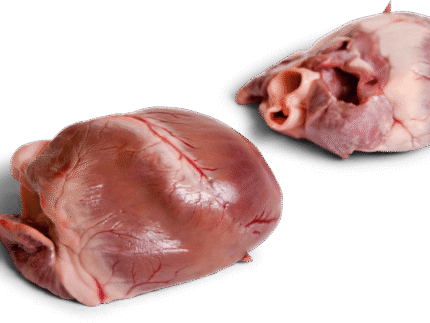 Frozen Pork Heart