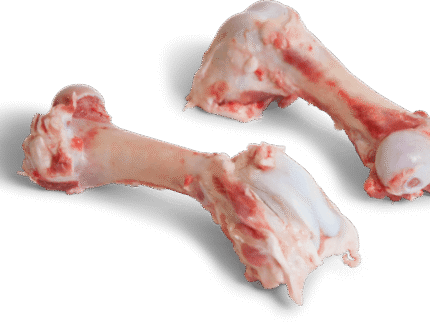 Frozen Pork Femur Bone