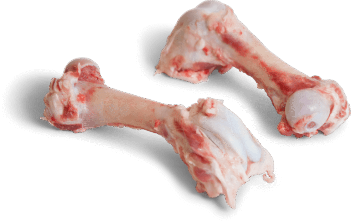 Frozen Pork Femur Bone