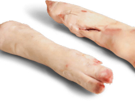 Frozen Pork Hind feet Long Cut